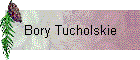 Bory Tucholskie